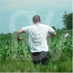 Ovlov Am