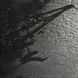 Max Richter The Blue Notebooks