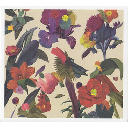 Washed Out Paracosm