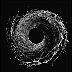 Dawn Of Midi Dysnomia