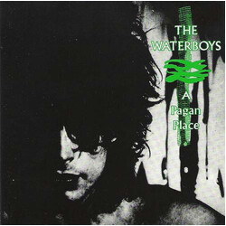 The Waterboys A Pagan Place