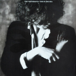 The Waterboys This Is The Sea