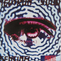 Neutron 9000 Sentinel (The Steve Proctor Mixes)