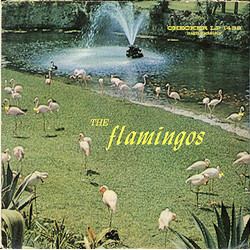 The Flamingos Flamingos