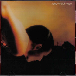 Porcupine Tree On The Sunday Of Life...