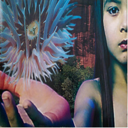 The Future Sound Of London Lifeforms