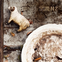 Bernard Adamus NO.2  Vinyl LP