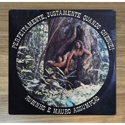 Rubinho E Mauro Assumpção Perfeitamente, Justamente Quando Cheguei VINYL LP