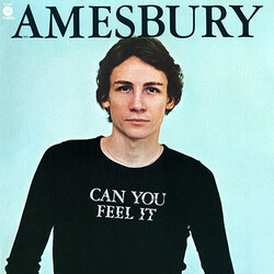 Bill Amesbury Can You Feel It