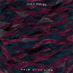 Field Mouse Hold Still Life