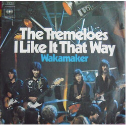 The Tremeloes I Like It That Way