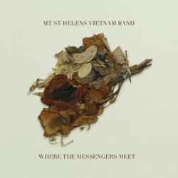 Mt. St. Helens Vietnam Band Where The Messengers Meet