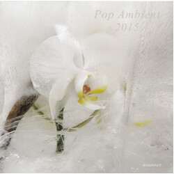 Various Pop Ambient 2015