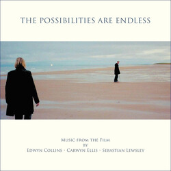 Edwyn Collins / Carwyn Ellis / Sebastian Lewsley The Possibilities Are Endless