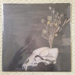 Steve Gunn / Black Twig Pickers Seasonal Hire