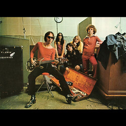 The Flamin' Groovies Teenage Head