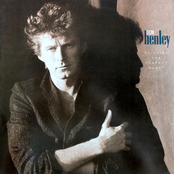Don Henley Building The Perfect Beast