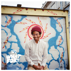 Toro Y Moi What For?