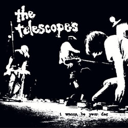 A Place To Bury Strangers / The Telescopes Down The Stairs / I Wanna Be Your Dog