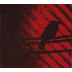 A Silver Mt. Zion Born Into Trouble As The Sparks Fly Upward.