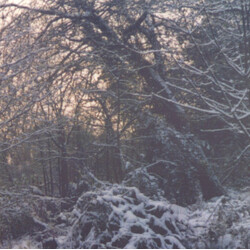 The Aries Project British Ghosts