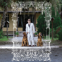 Pet Symmetry Pets Hounds