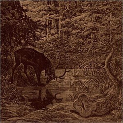 Agalloch Of Stone, Wind, And Pillor