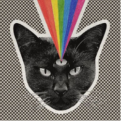 Never Shout Never Black Cat