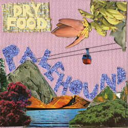 Palehound Dry Food Vinyl LP