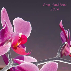 Various Pop Ambient 2016