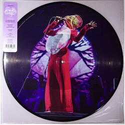 Bjork Vulnicura Live