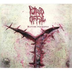 Putrid Offal Mature Necropsy