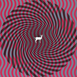Deerhunter Cryptograms