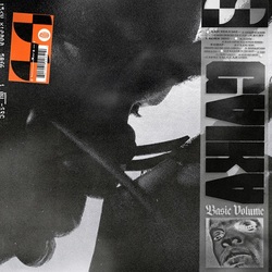 Gaika Basic Volume