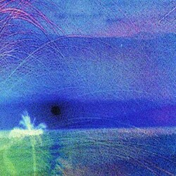 Roy Flying Saucer Attack/Montgomery Goodbye & Goodbye/Whole Day Vinyl LP