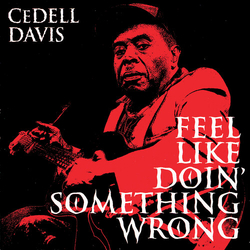 Cedell Davis Feel Like Doin Something Wrong VINYL LP