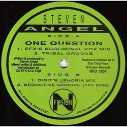 Steven Angel One Question vinyl LP