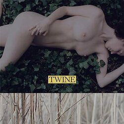 Twine Twine Vinyl 2 LP