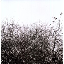 Simon Joyner Lost With The Lights On Vinyl LP