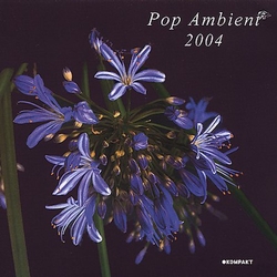 Various Pop Ambient 2004 Vinyl LP