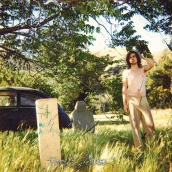 Ariel Pink's Haunted Graffiti The Doldrums Vinyl LP