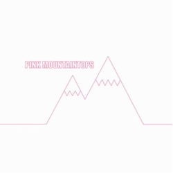 Pink Mountaintops Ones I Love Erected vinyl 7