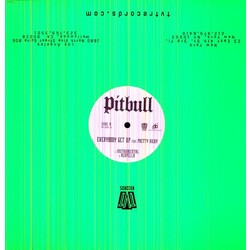 Pitbull Everybody Get Up Vinyl 12"