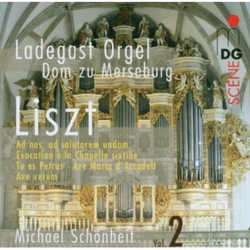 Franz Liszt / Michael Schönheit Liszt: Organ Works Vol. 2 Vinyl LP