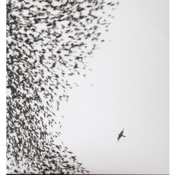 Wilco Sky Blue Sky VINYL 2 LP