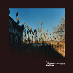 The Cinematic Orchestra Ma Fleur VINYL 2 LP