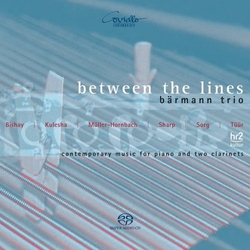 Tuur Sorg Sharp Barmann Trio Between the Lines SACD