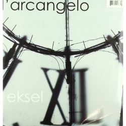 D'Arcangelo Eksel Vinyl 2 LP
