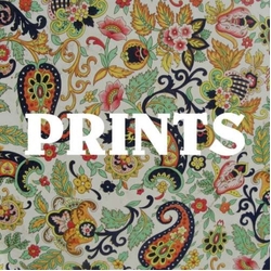 Prints Prints Vinyl LP