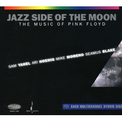 Sam Yahel / Ari Hoenig / Mike Moreno / Seamus Blake Jazz Side Of The Moon (The Music Of Pink Floyd) Vinyl LP